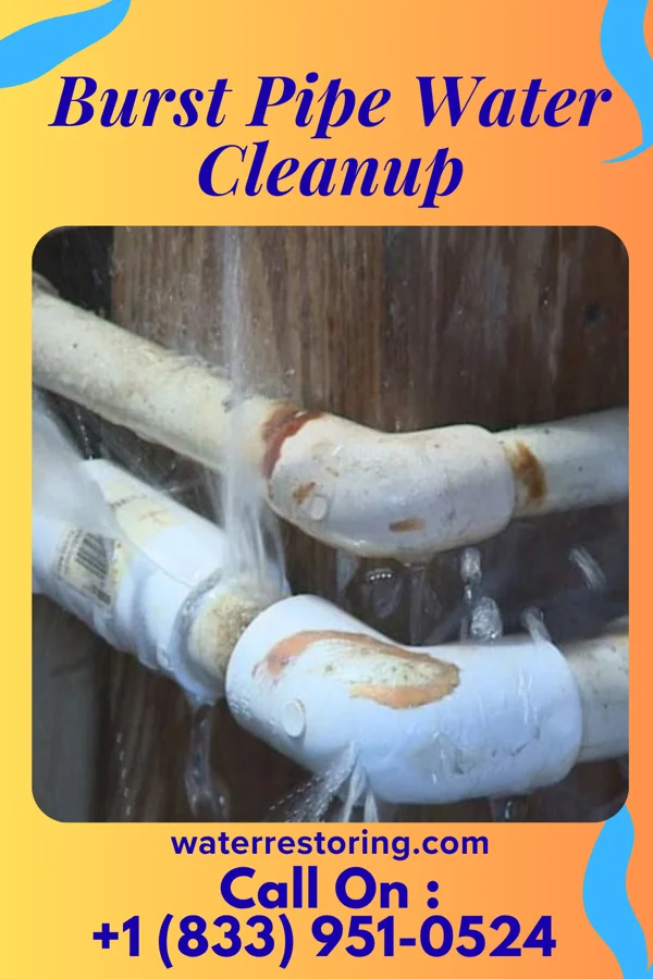 Burst Pipe Water Cleanup in Berlin Heights, OH