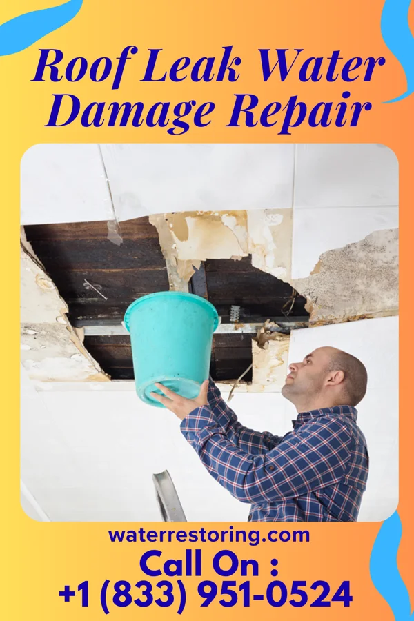 Roof Leak Water Damage Repair in Berlin Heights, OH