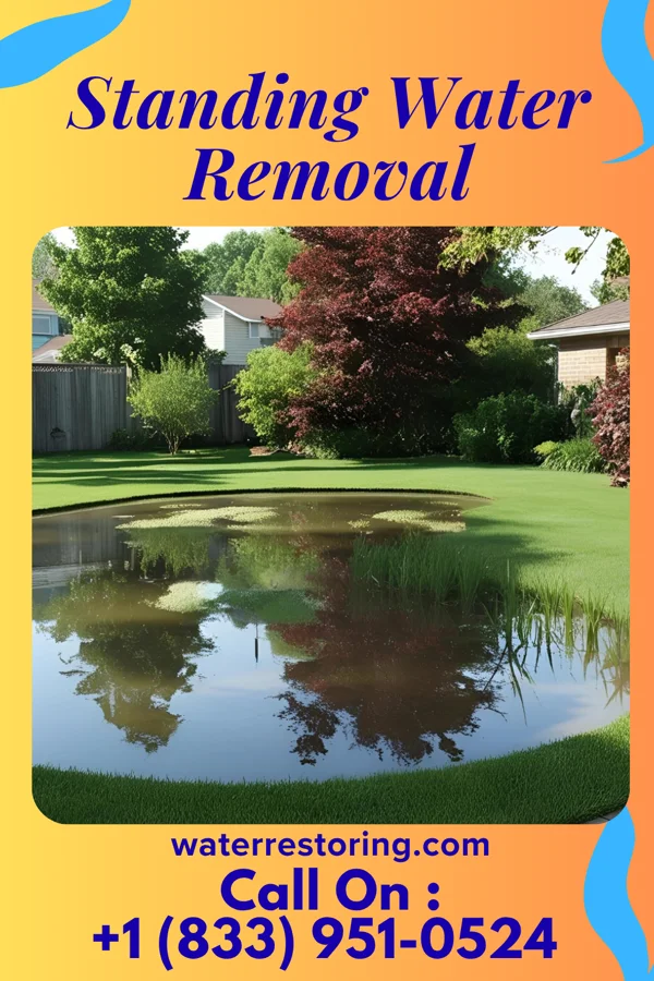 Standing Water Removal in Berlin Heights, OH